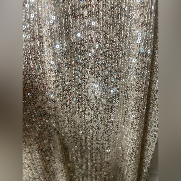 Ieena by MacDuggal Silver Soft Tie Halter Sequin Gown Size 12 - Picture 7 of 7